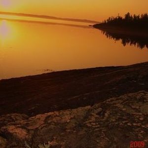 Meet your Posher, Charlie